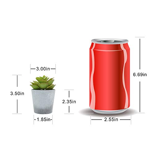 Artificial Succulents Set of 3 Mini Realistic Fake Plants with Plastic Pots for Home and Office Decoration, Including…