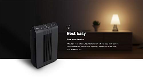 Winix 5500-2 Air Purifier with True HEPA, PlasmaWave and Odor Reducing Washable AOC Carbon Filter Medium , Charcoal Gray
