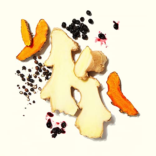 Vive Organic Immunity Boost Shot, Elderberry, Ginger & Turmeric, 2 Oz