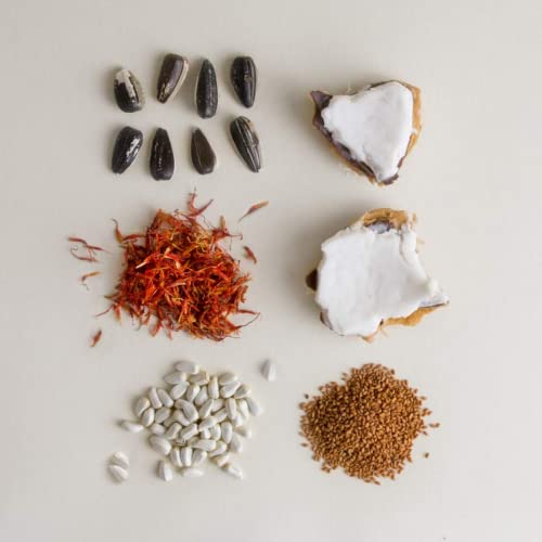 Seed Phytonutrients - Natural Body Moisturizer | Sustainable, Vegan Clean Beauty (8.5 fl oz | 250 ml)