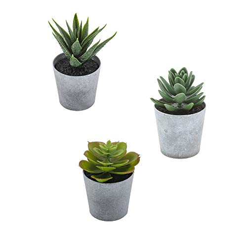 Artificial Succulents Set of 3 Mini Realistic Fake Plants with Plastic Pots for Home and Office Decoration, Including…