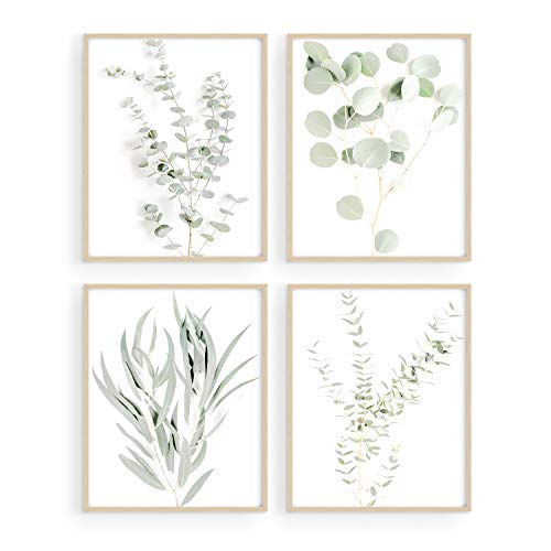 HAUS AND HUES Botanical Plant Wall Art Prints - Set of 4 Plant Wall Decor Prints Floral Kitchen Flower Leaves Wall Art…