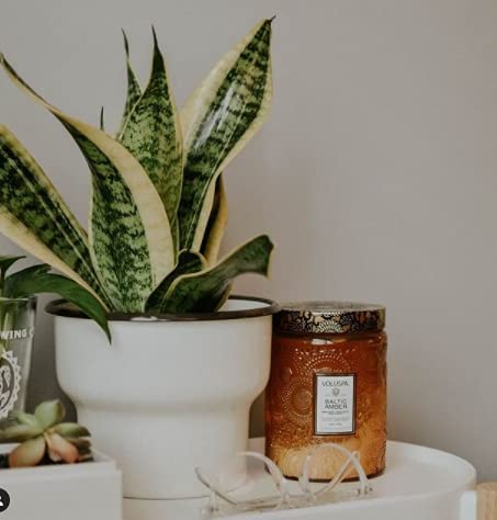 Voluspa Baltic Amber Candle | Large Glass Jar | 18 Oz | 100 Hour Burn Time | All Natural Wicks and Coconut Wax for Clean…