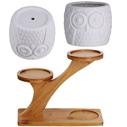 3pcs Owl Succulent Pots with 3 Tier Bamboo Saucers Stand Holder - White Modern Decorative Ceramic Flower Planter Plant…