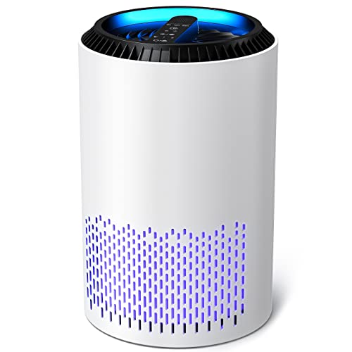 AROEVE Air Purifiers for Home, H13 HEPA Air Purifiers Air Cleaner For Smoke Pollen Dander Hair Smell Portable Air Purifier with Sleep Mode Speed Control For Bedroom Office Living Room, MK01- White