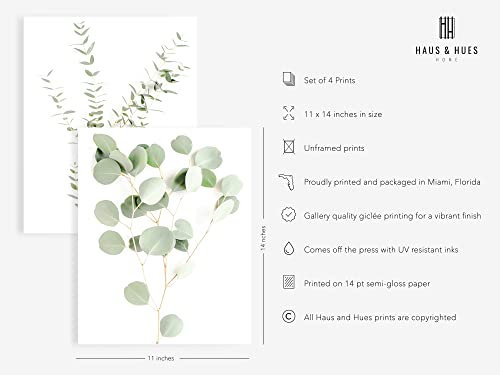 HAUS AND HUES Botanical Plant Wall Art Prints - Set of 4 Plant Wall Decor Prints Floral Kitchen Flower Leaves Wall Art…