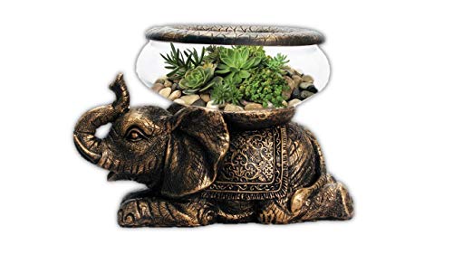 The Nifty Nook New Good Luck Decorative Gold Antiqued Elephant Glass Bowl,Terrarium or Candle Holder with Color Gift Box