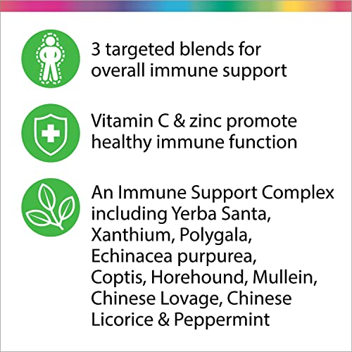 Rainbow Light Immune Support, Vitamin C & Zinc, Counter Attack, Gluten Free, Vegan, Sugar-Free, 3 Targeted Blends For…