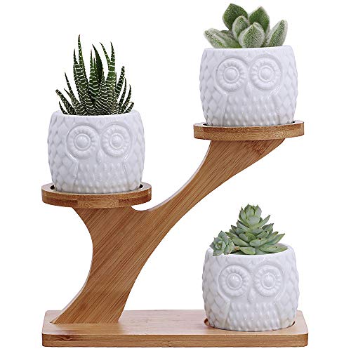 3pcs Owl Succulent Pots with 3 Tier Bamboo Saucers Stand Holder - White Modern Decorative Ceramic Flower Planter Plant…