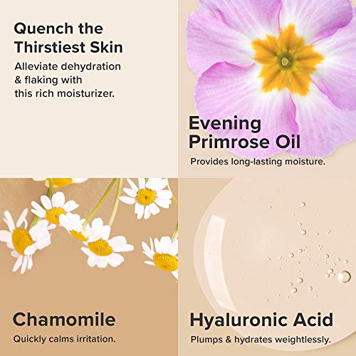 Paula's Choice SKIN RECOVERY Replenishing Facial Moisturizer Cream with Hyaluronic Acid, Soothes Redness & Sensitive…