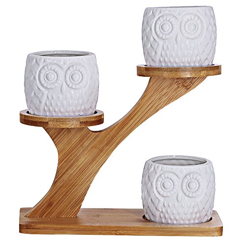 3pcs Owl Succulent Pots with 3 Tier Bamboo Saucers Stand Holder - White Modern Decorative Ceramic Flower Planter Plant…