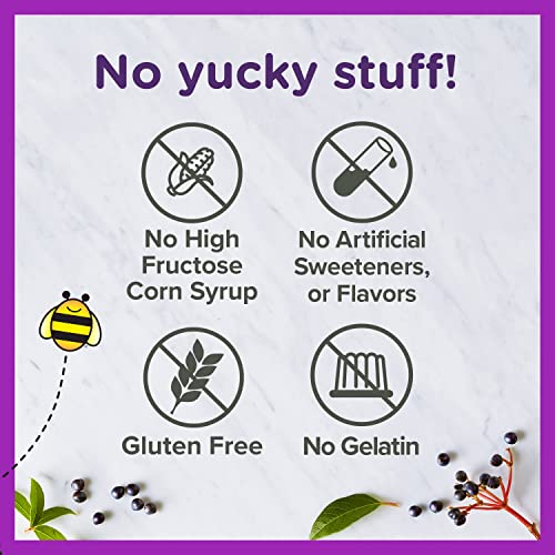 Zarbee's Elderberry Gummies for Kids with Vitamin C, Zinc & Elderberry, Daily Childrens Immune Support Vitamins Gummy…