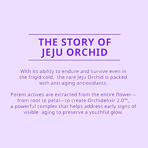 innisfree Orchid Youth Enriched Eye Cream Hyaluronic Acid Moisturizer