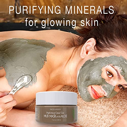 DELÚVIA Deluvia Hydrating Dead Sea Mud Mask with Aloe for Face and Body, Gentle Exfoliation, Acne Treatment (11oz)