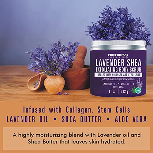Lavender Oil Body Scrub Exfoliator with Shea Butter, Collagen, Stem Cells, Grapefruit Oil - Natural Exfoliating Salt…