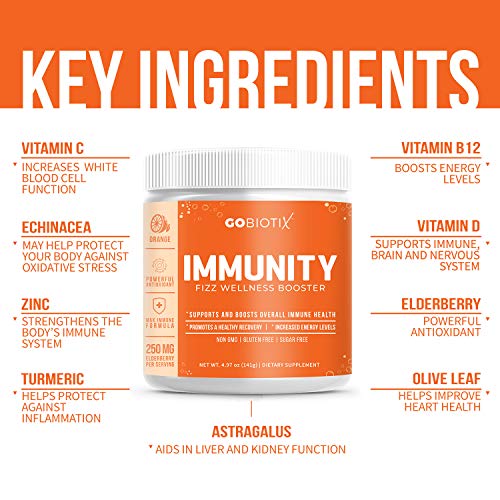 GOBIOTIX Immune Support Supplement - Immunity Defense Powder Wellness Booster - Immune Boost Vegan Superfood…