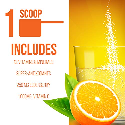 GOBIOTIX Immune Support Supplement - Immunity Defense Powder Wellness Booster - Immune Boost Vegan Superfood…